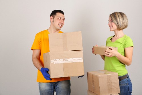 Image representing user control over cookie preferences on a storage website