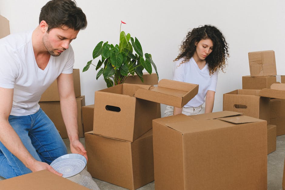 A professional mover with dark curly hair and a beard, wearing a navy blue T-shirt and dark trousers, is inside a well-lit room with white walls and light wooden flooring. He is holding a cardboard mo